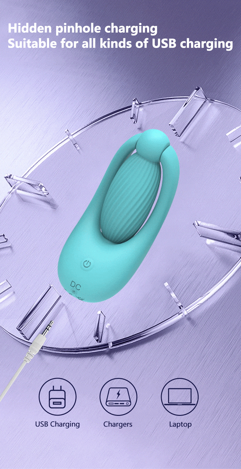 remote control vibrator
