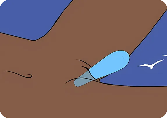 how to use-bud