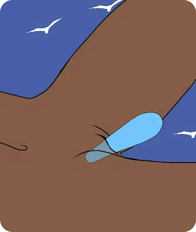 how to use-bud